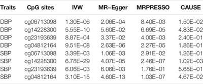 Promoter DNA Methylation in GWAS-Identified Genes as Potential Functional Elements for Blood Pressure: An Observational and Mendelian Randomization Study